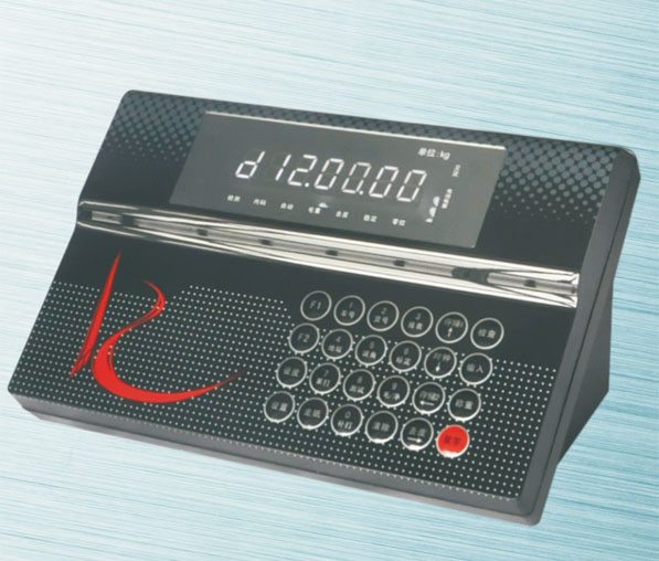  数字仪表D12-B/D12-B(AC)