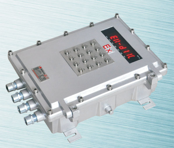 防爆型电子称重仪表Ex-D11-C