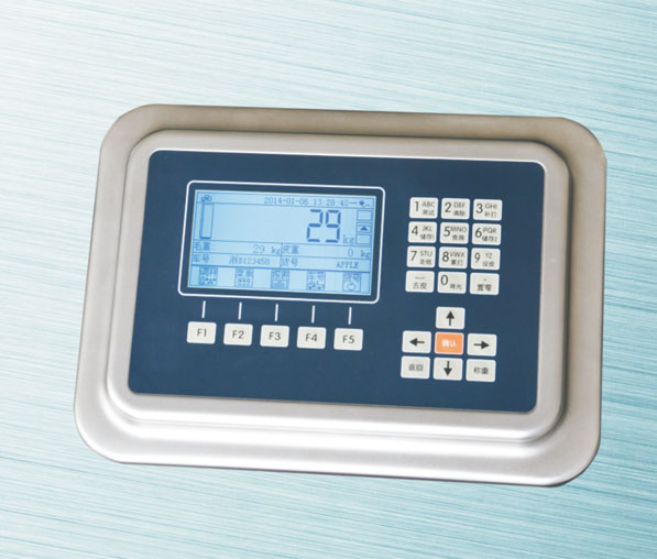 数字仪表D29 数字仪表D29